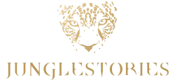 Junglestories